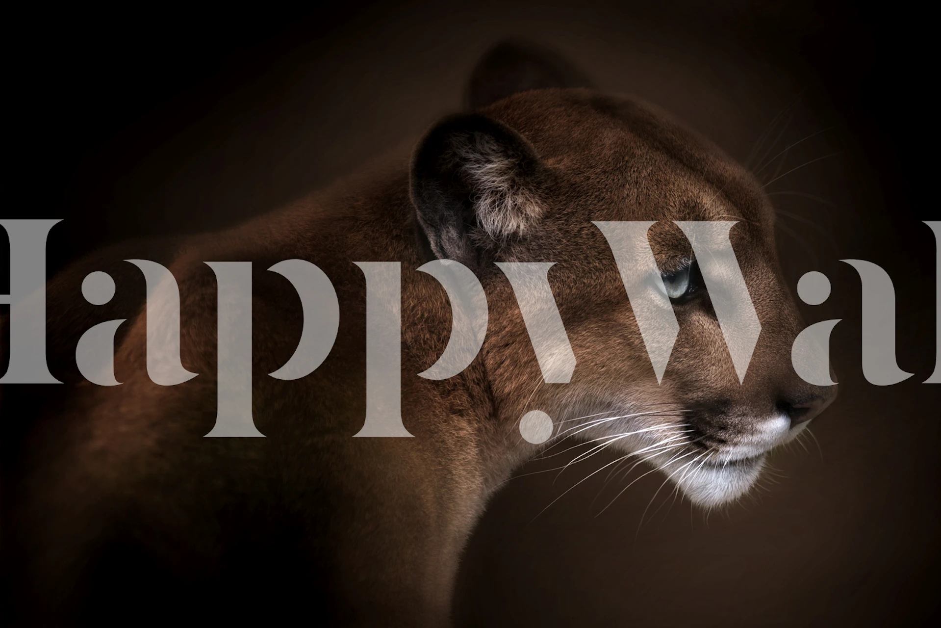 Puma profile with dark brown tones and sharp features wallpaper