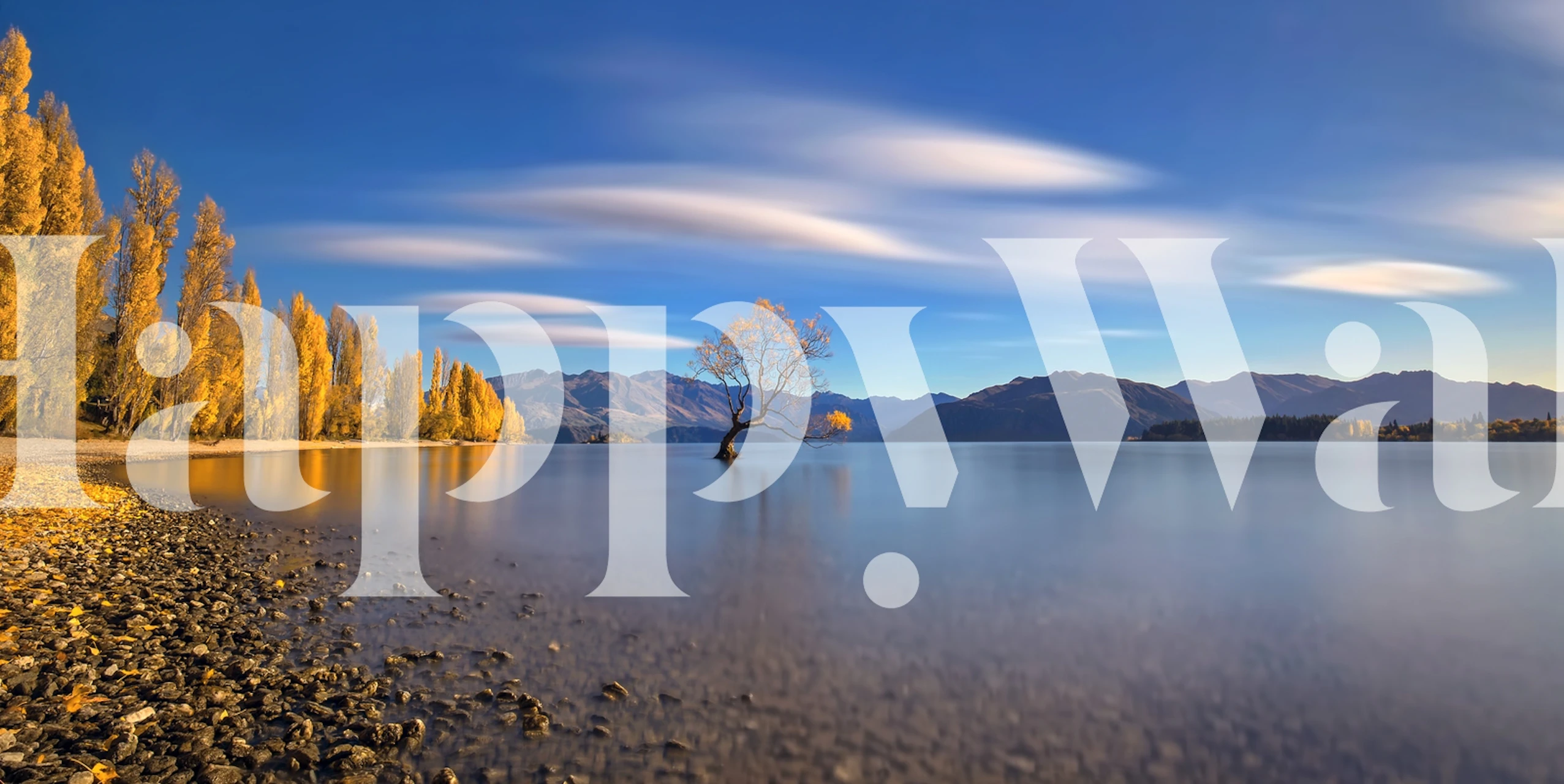 Autumn landscape wallpaper med Lake Wanaka och träd