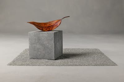 Τοιχογραφία