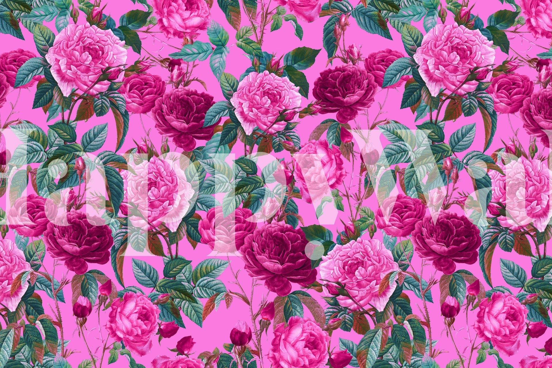 Muurschildering met een levendige roze en groene bloementuin met rozenbloemen