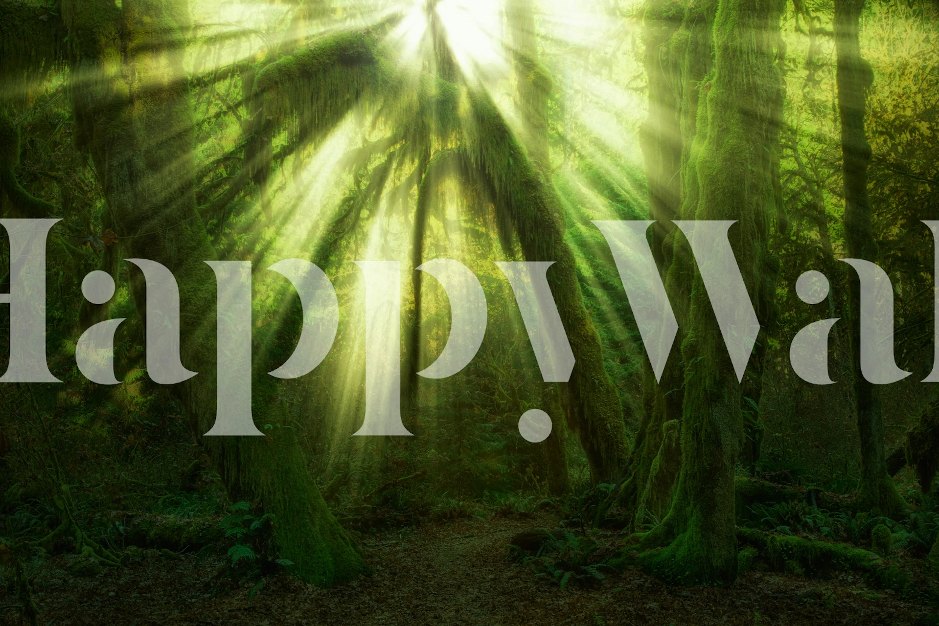 The Miracle wallpaper with forest scenery