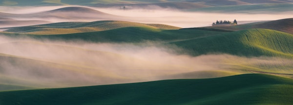 Dream Land in Morning Mist 2