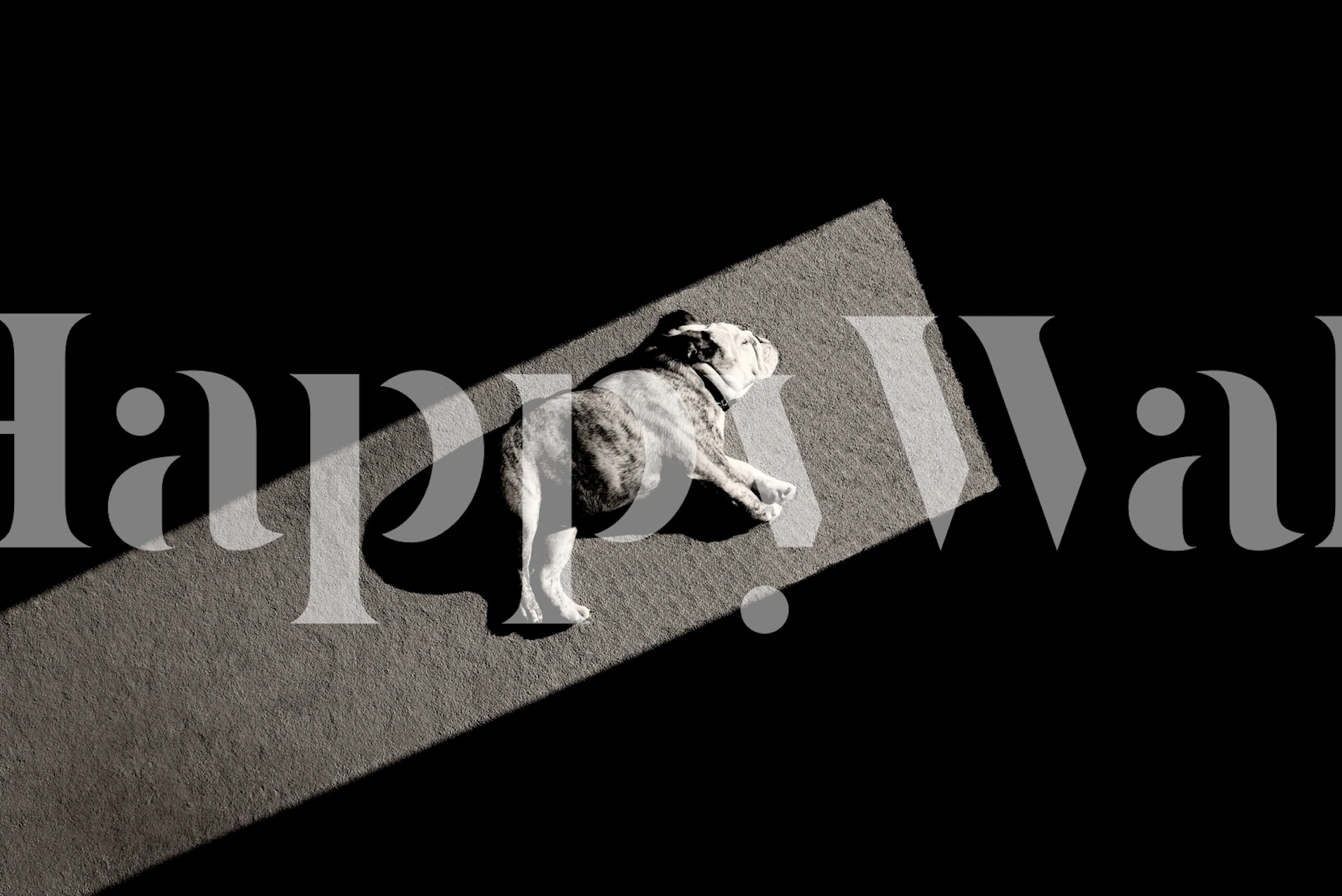 Carta da parati Solar Non Powered in una stanza moderna