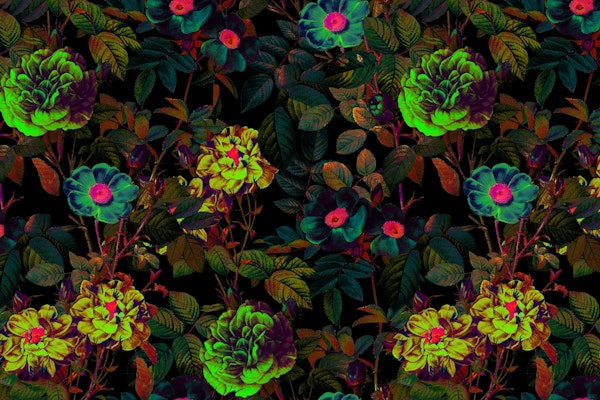 Floral Neon Garden