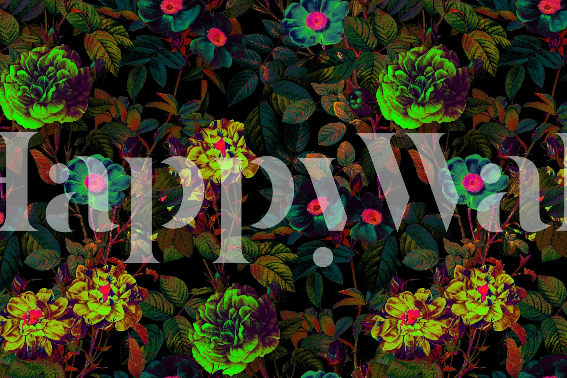 Colorful florals with neon accents on a dark background wall mural