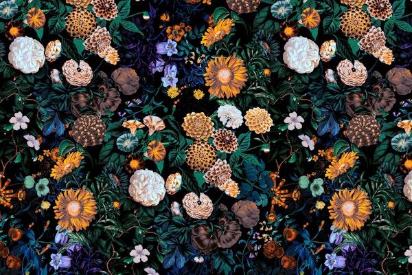 Multicolor Night Forest