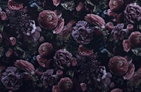 Moody Purple Baroque Flower Fantasies wallpaper