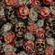 Baroque Moody Peony Mysterious Gothic Skulls