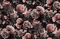 Moody Baroque Flower Fantasies Dark Blush wallpaper