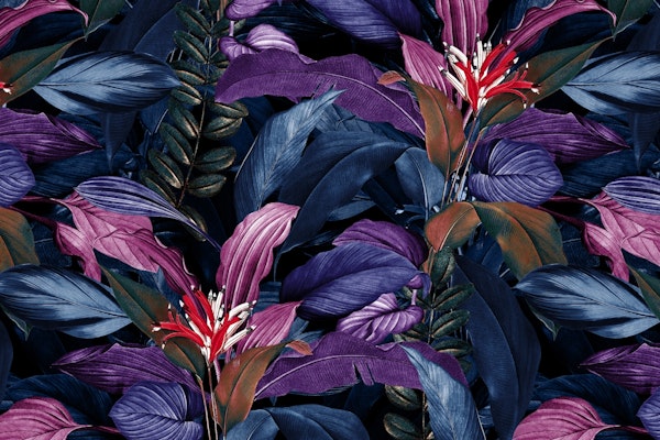 Tropical Night Forest