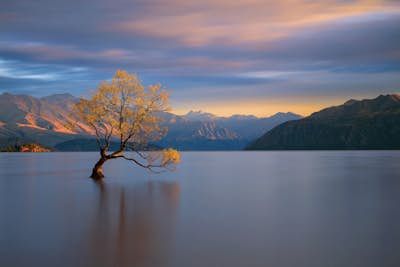 Τοιχογραφία