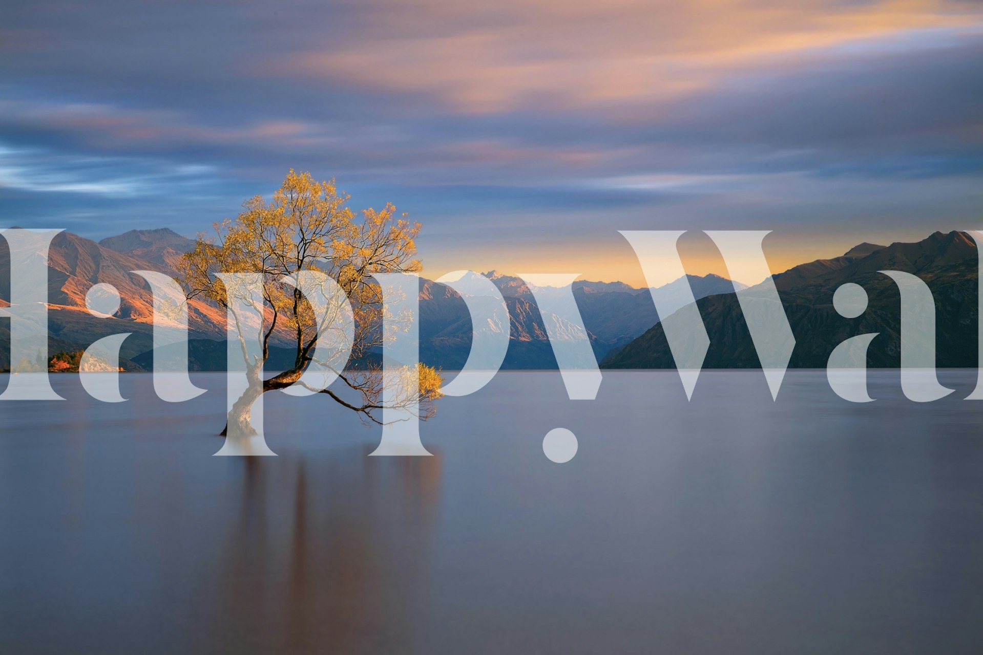 Solitary tree in tranquil lake with mountains at sunrise wall mural