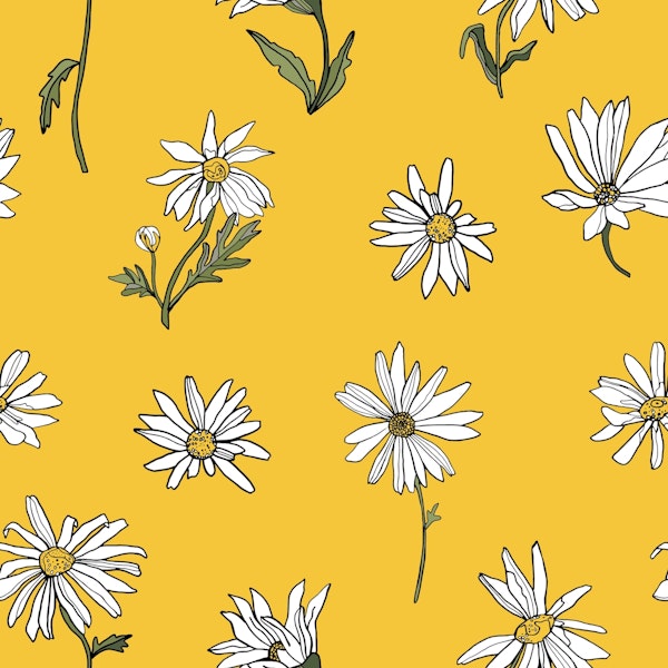 Cheerful and Happy Daisy