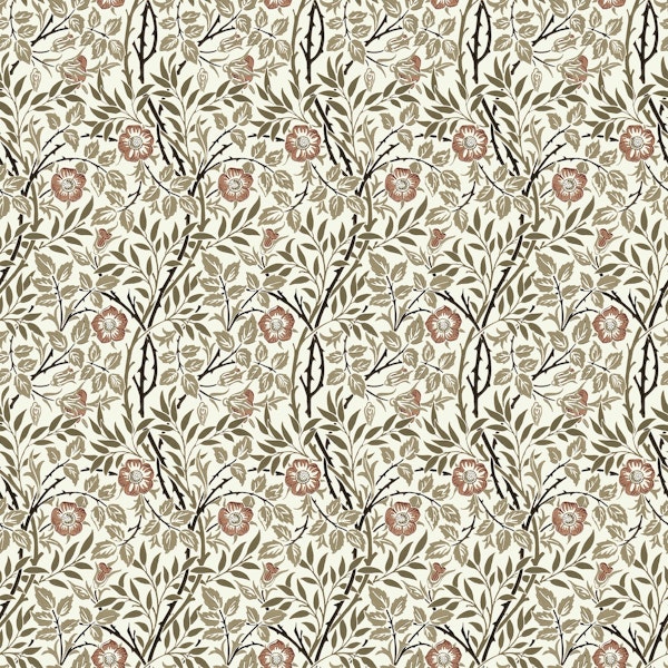 Sweet Briar Climbing Roses