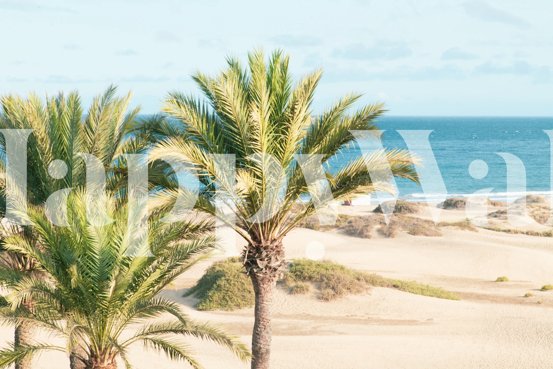 Palm trees against blue ocean and sandy beach wallpaper