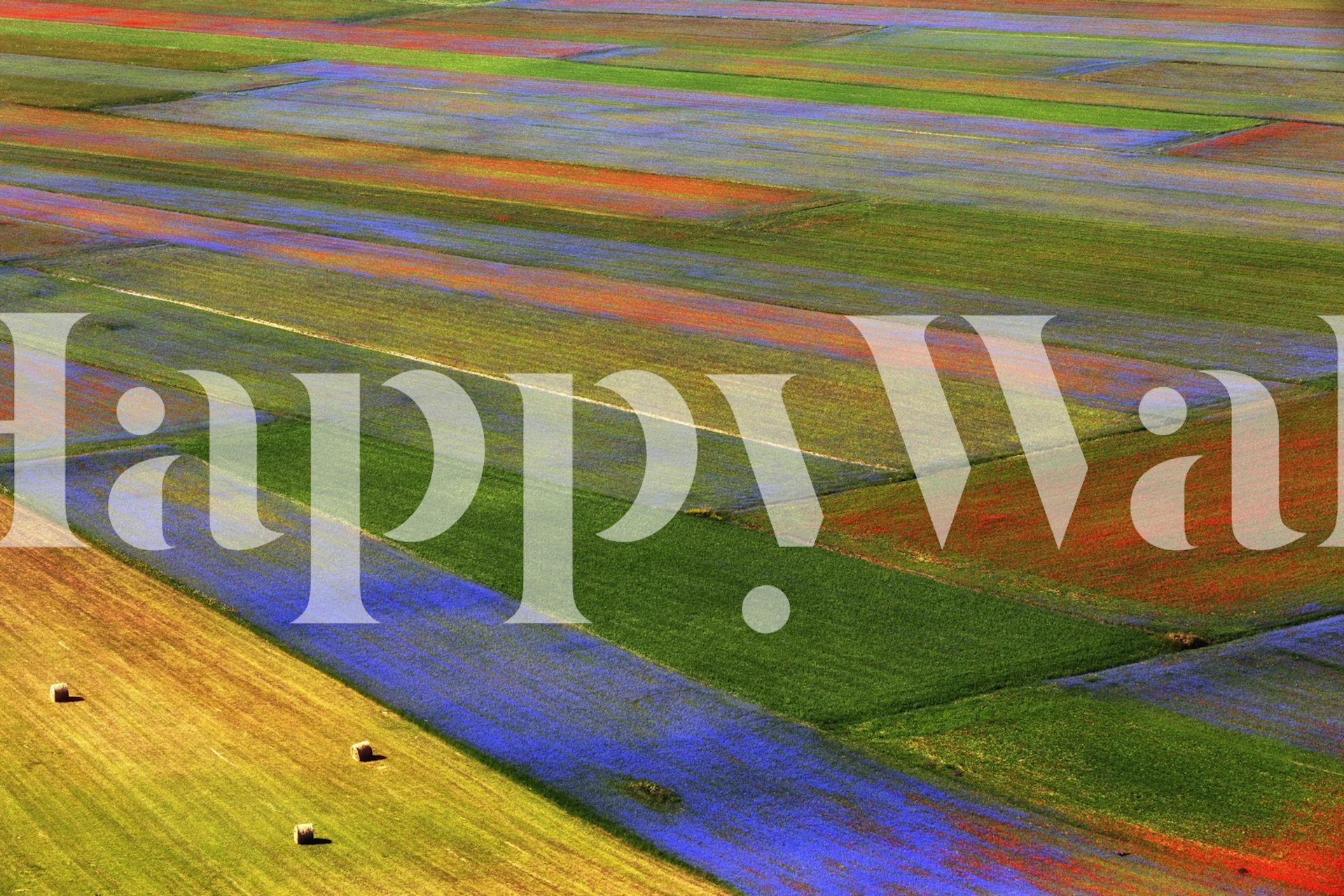 Colorful floral fields in blue, green, and orange wallpaper