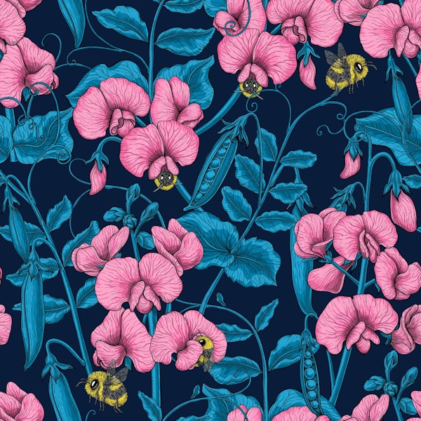 Sweet peas and bumblebees on dark blue
