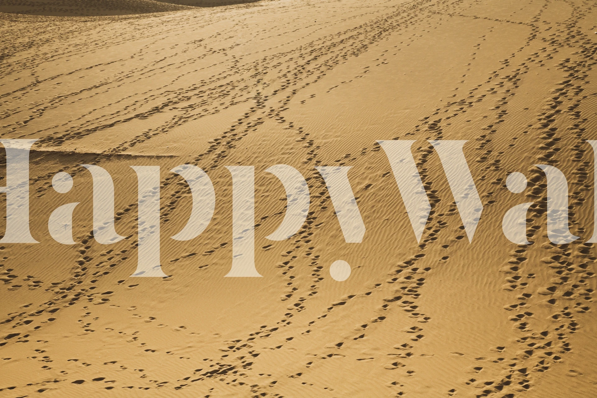 Desert wallpaper design in a room