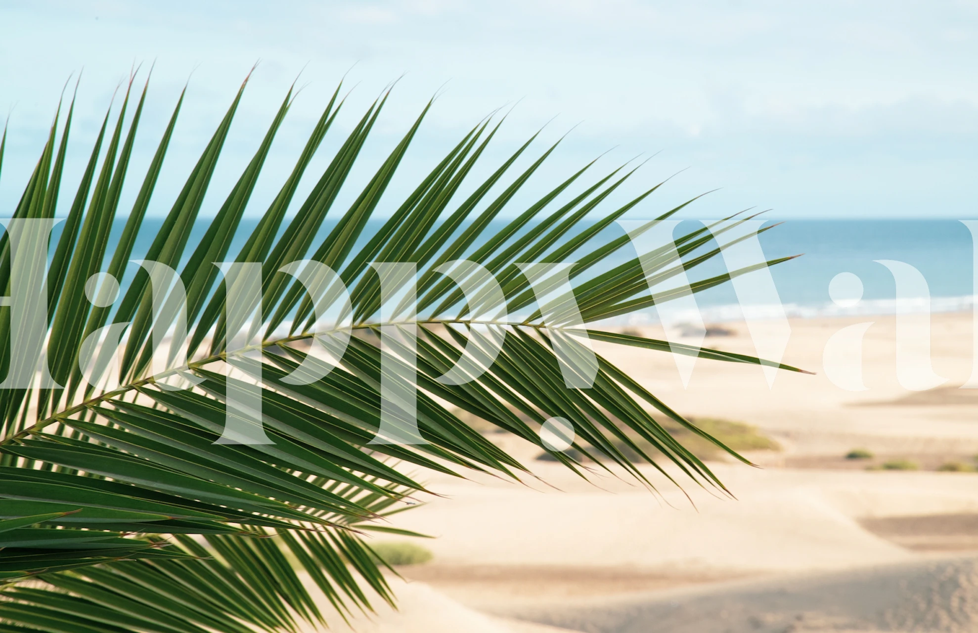 Tropical palm leaves with ocean view wallpaper