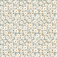 White daisies carta da parati