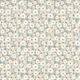 White daisies