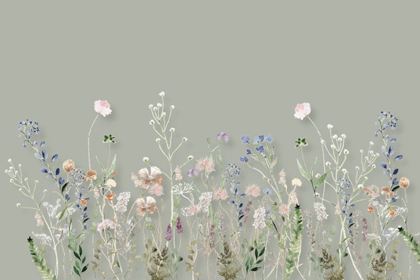 WILDFLOWER MEADOW SUMMER