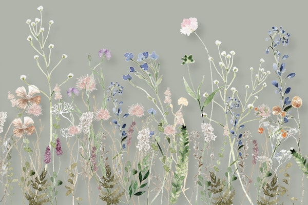 WILDFLOWER MEADOW SUMMER 2