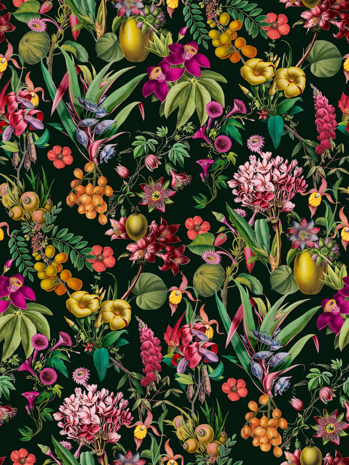 Tropical Jungle Flower and Fruit Garden Black Wallpaper - Buy Online ...