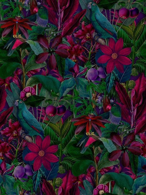 Tropical Serenade Opulent Jungle Flora