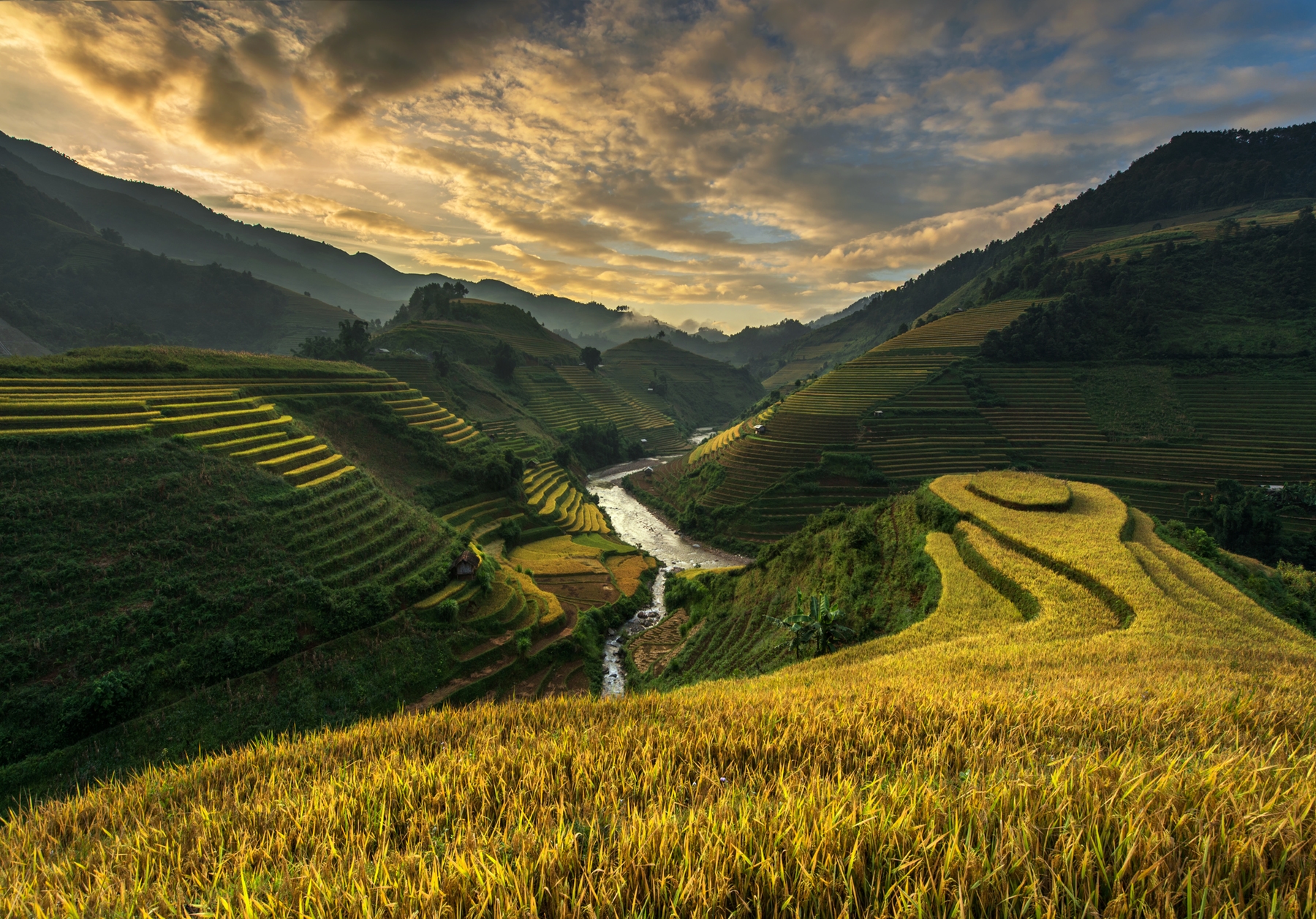 Вьетнам рассвет рисовые поля