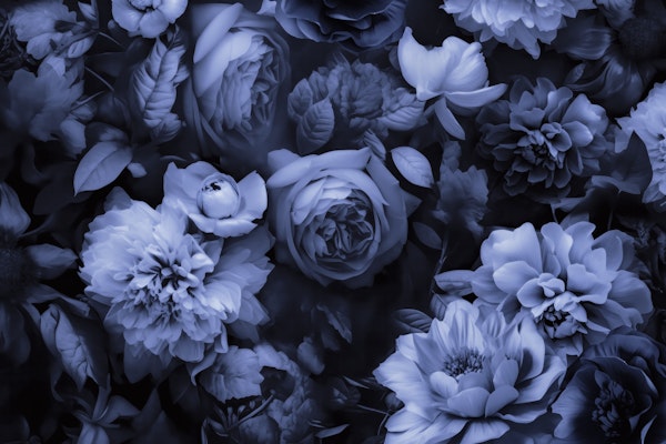 Opulent Baroque Flowers Moody Blue