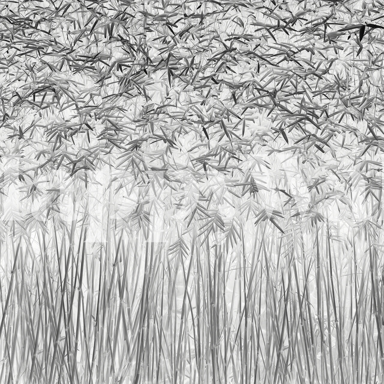 Parallelism wallpaper design in a room