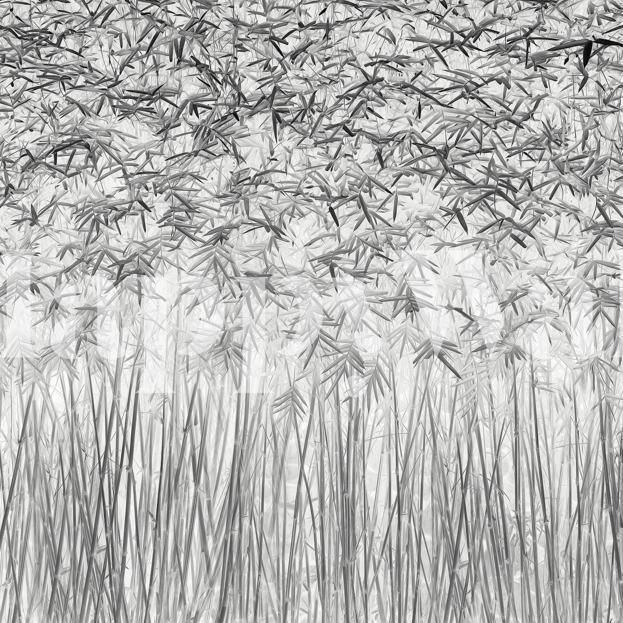 Parallelism wallpaper design in a room