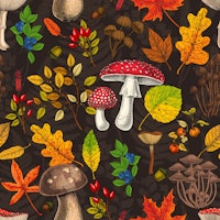 Autumn mushrooms, leaves, nuts and berries on dark brown carta da parati