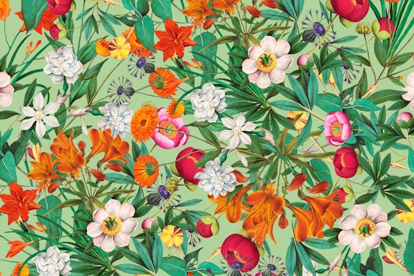 Summer Exotic Forest