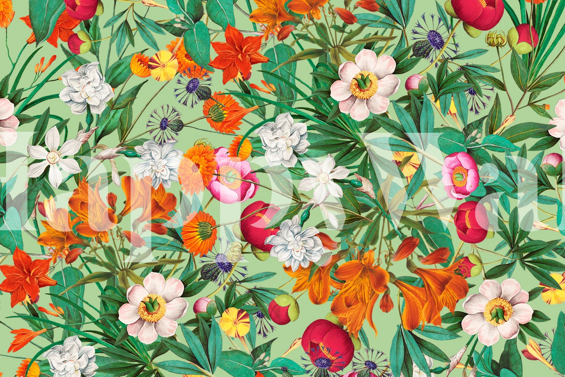 Colorful tropical flower patterns with green background wallpaper