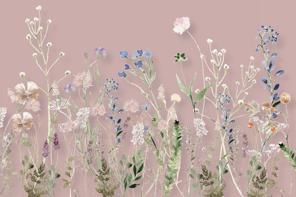 WILDFLOWER MEADOW BLUSH