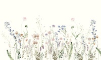 WILDFLOWER MEADOW SUMMER BY MS wallpaper