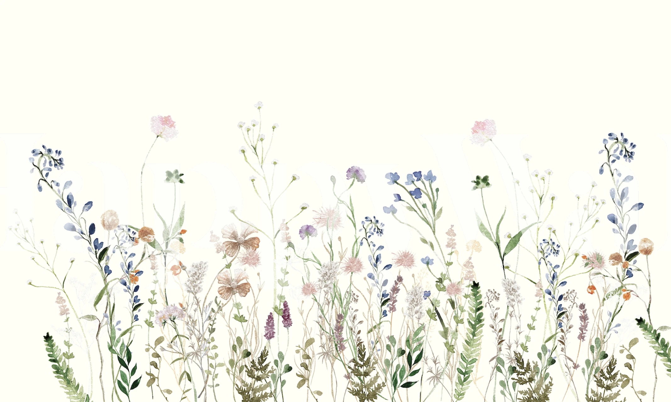 Colorful wildflowers in a meadow on light background wallpaper