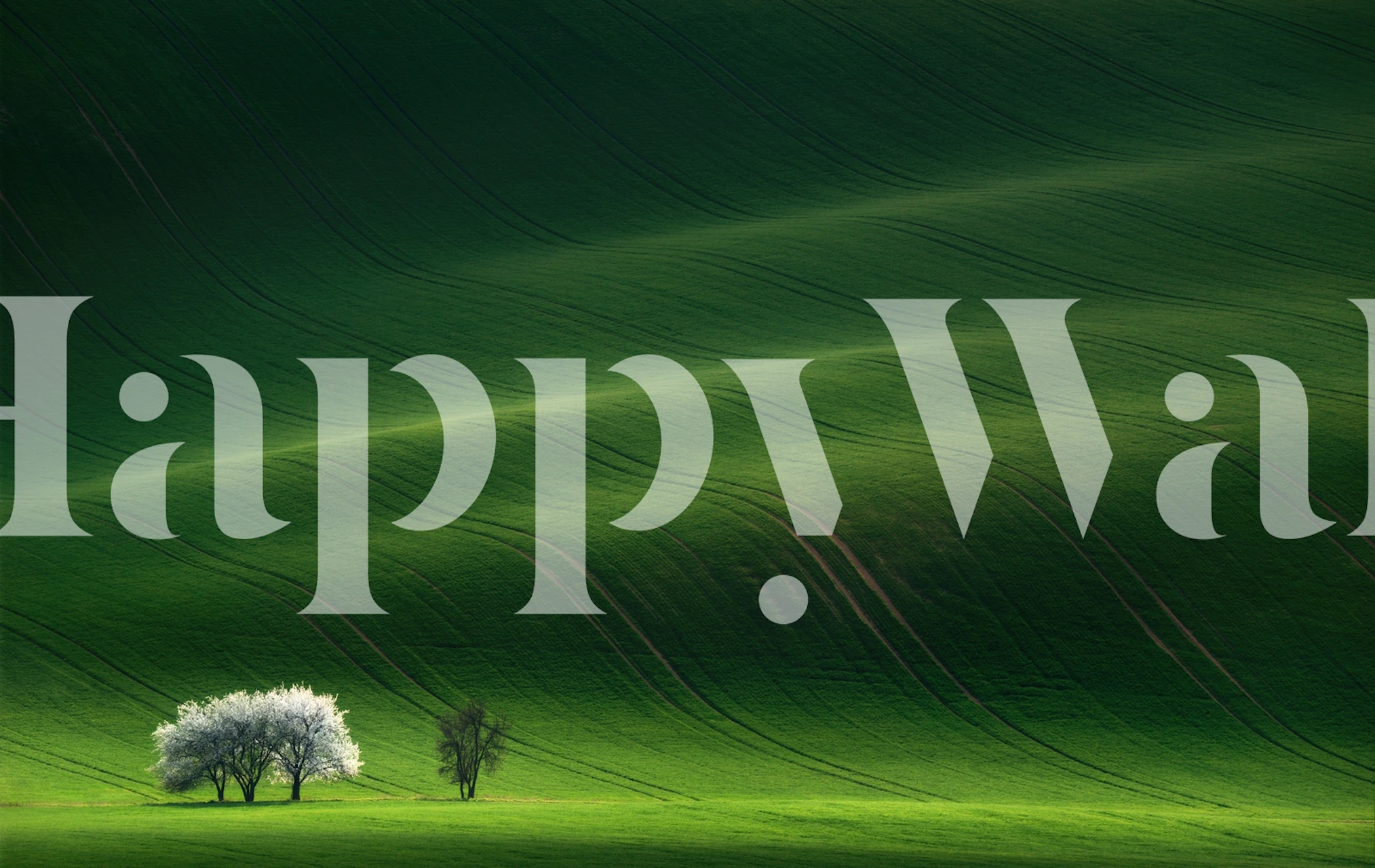 Ladies in White wallpaper in a stylish room