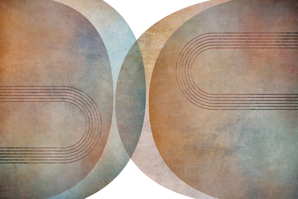 Modern Mid Century Curves