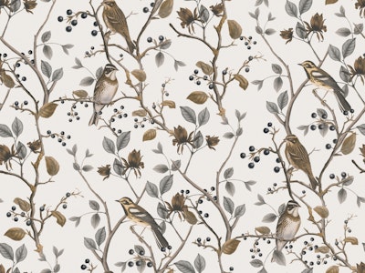 Pattern