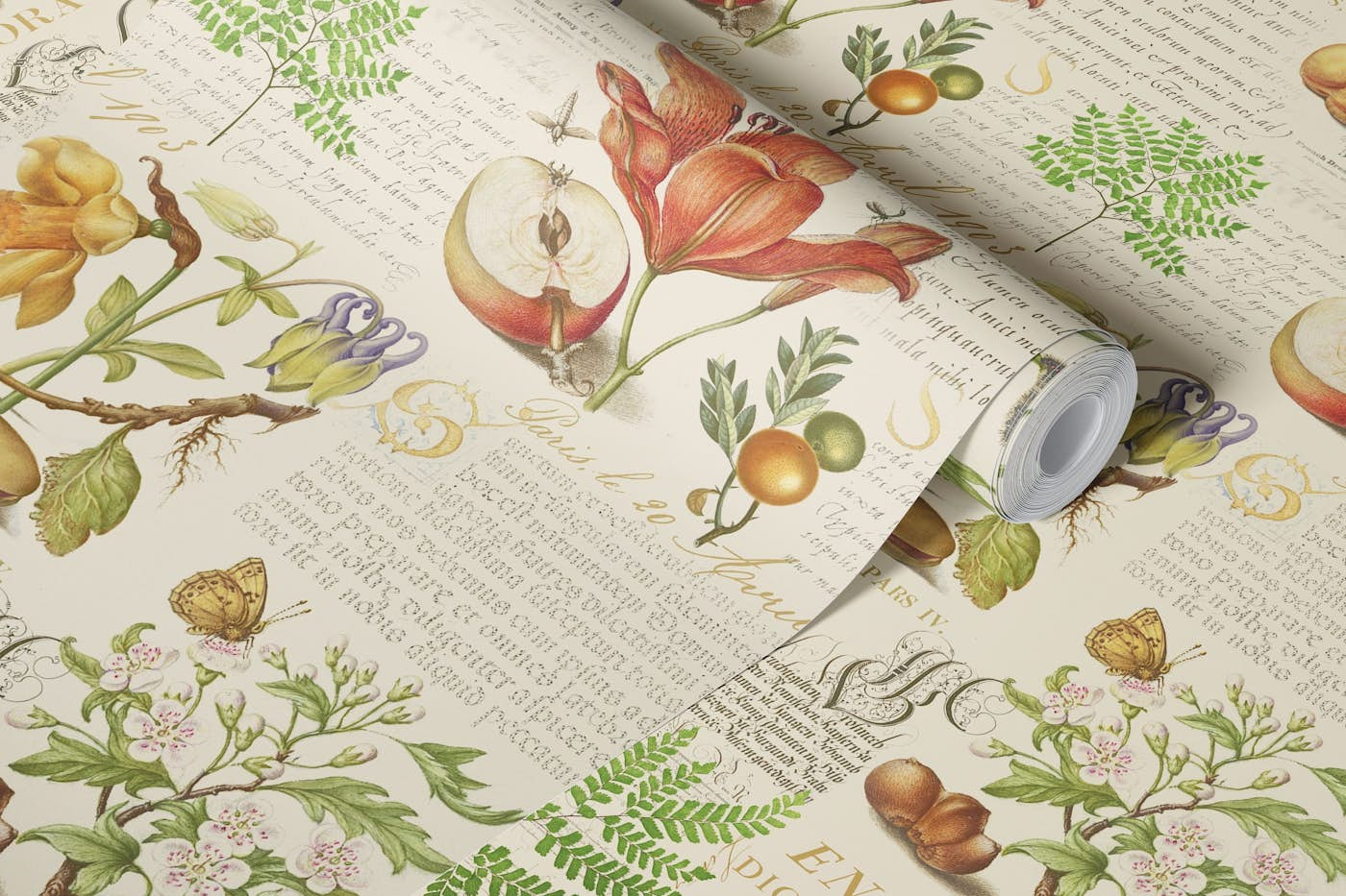 Botanical Treasures By Joris Hoefnagel With Plants, Fruits And Calligraphy wallpaper roll