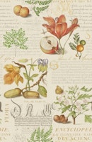 Botanical Treasures By Joris Hoefnagel With Plants, Fruits And Calligraphy tapety