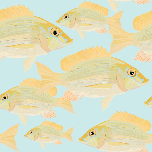 Sand Bream - The Fish Pattern