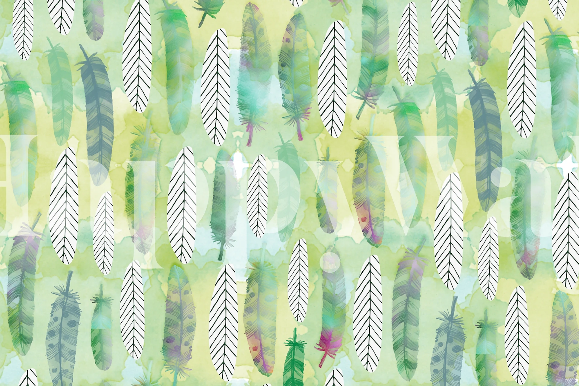 Colorful feathers and leaves on a light green background wallpaper