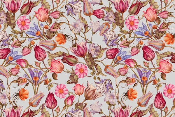 Secluded Garden Summer