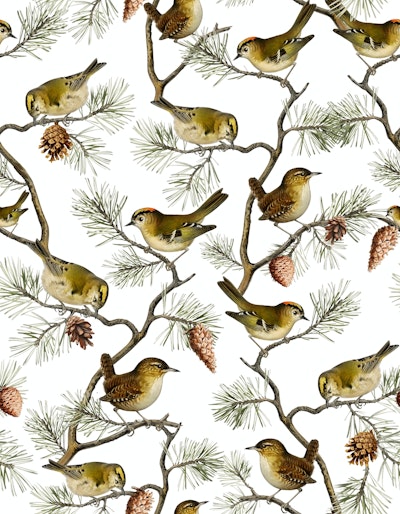 Pattern