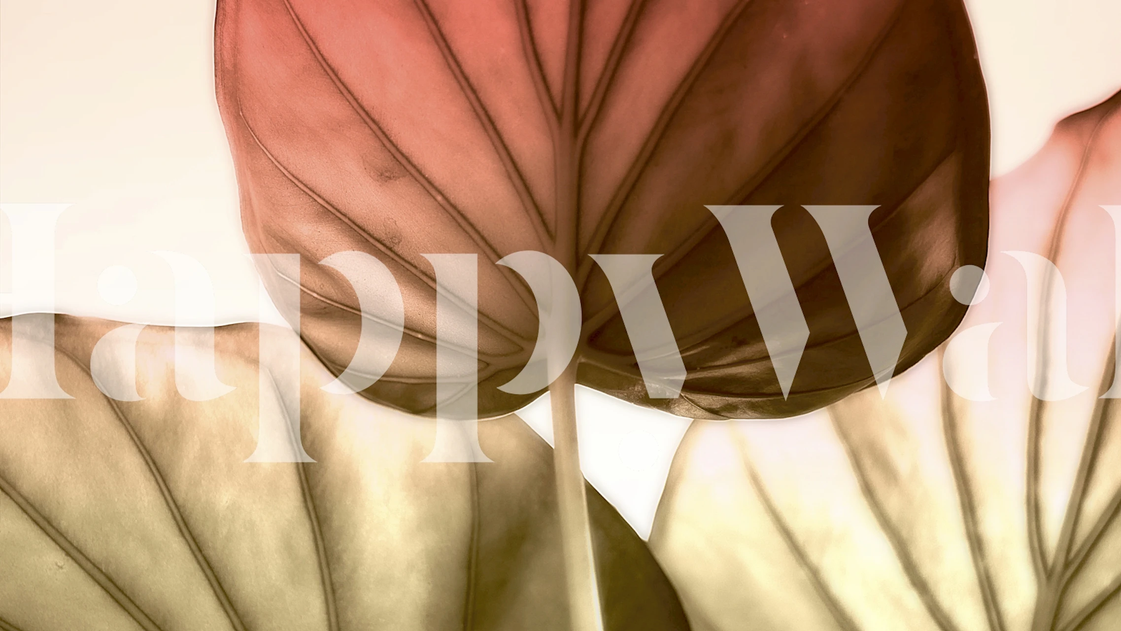 Delicate Japandi Leaf wallpaper in a room