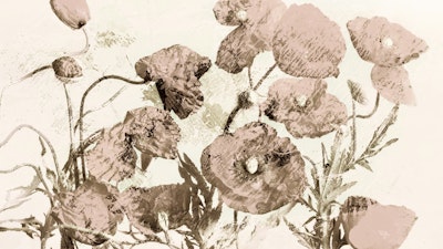 Murale